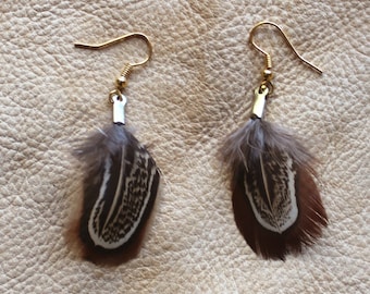 Real pheasant almond feather earrings on fish hook ear wires