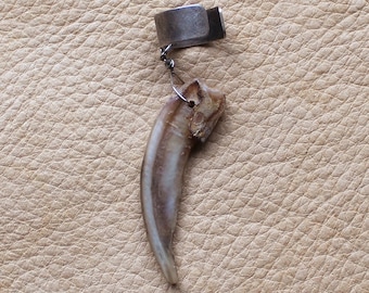 Real single American badger claw on silver-plated brass ear cuff