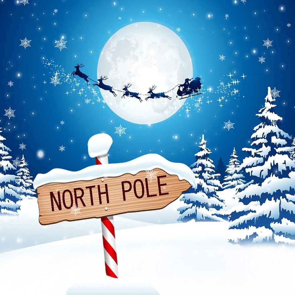 North Pole 10ft x 10ft Backdrop Computer Printed Photography | Etsy