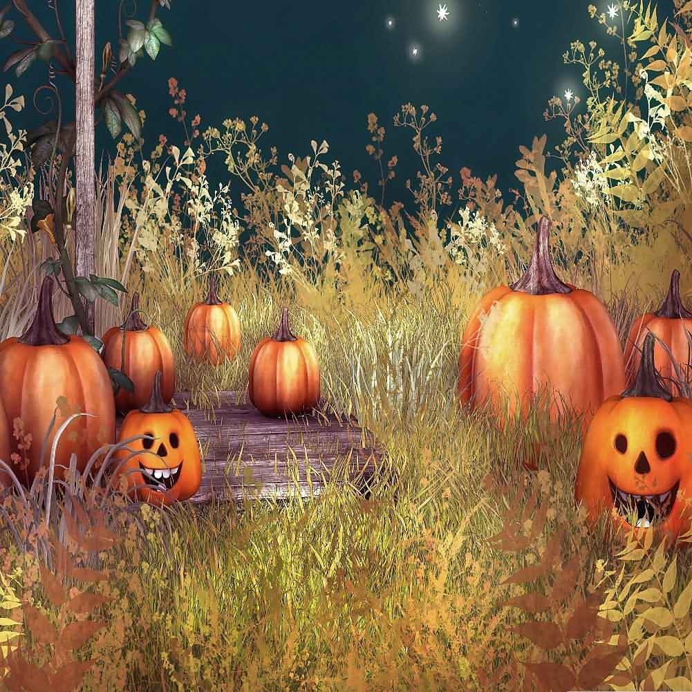 GladsBuy Pumpkin Tomb 10 x 10 Computer Printed Photography Backdrop Halloween Theme Background LMG-444 