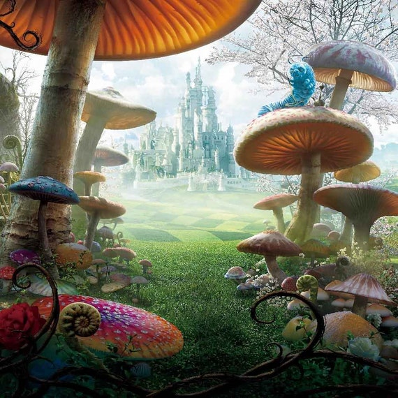 Fantasy Mushrooms 5ft X 5ft Backdrop Computer Printed | Etsy