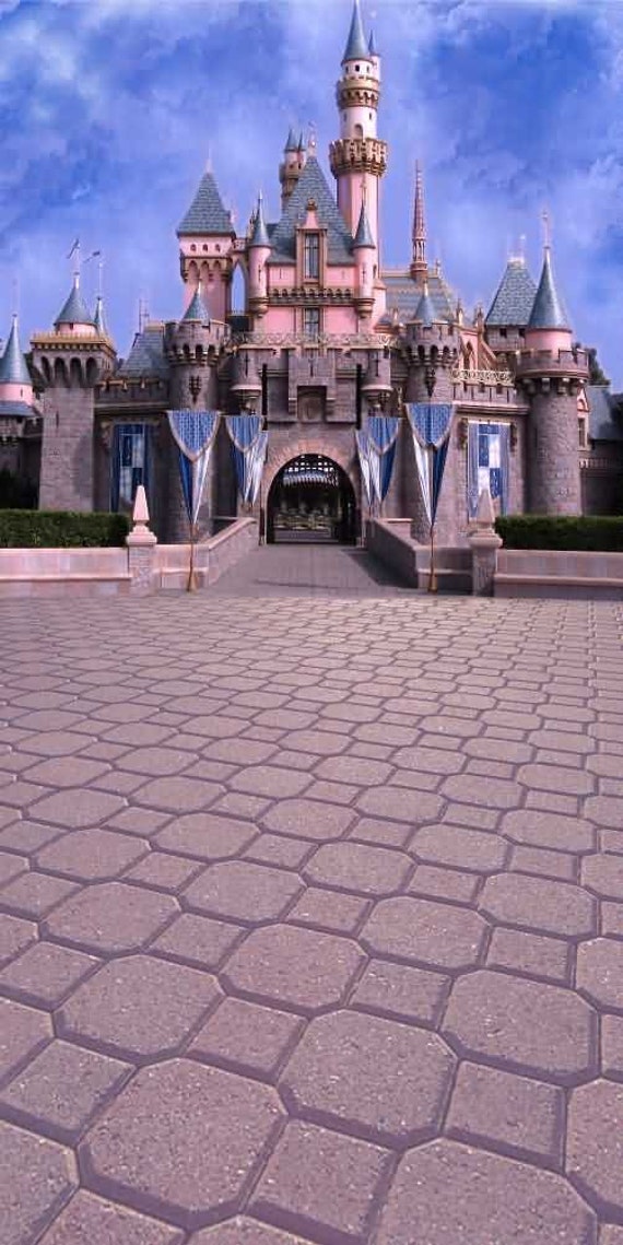 GladsBuy Quiet and Beautiful Castle 6 x 9 Digital Printed Photography Backdrop Castle Backdrop Background YHB-021 GladsBuy Quiet and Beautiful Castle 6 x 9 Digital Printed Photography Backdrop Castle Backdrop Background YHB-021