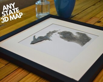 3D Topographic USA State Map: Framed PLA Wall Art