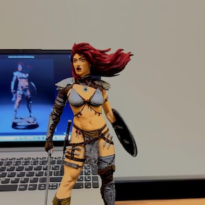 Hand-Painted Red Sonja 3D Printed Figure - 20 cm Collectible Resin Statue- Sla printing-3D Printed Art