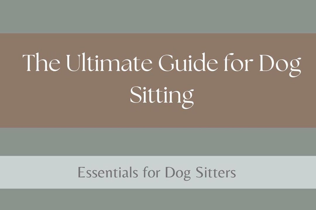 The Ultimate Dog Sitting Guide - Editable in Canva - Etsy