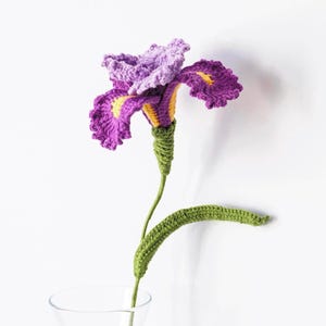 May include: A handmade crochet iris flower in shades of purple, yellow, and green. The flower has detailed petals and is displayed in a clear glass vase. The stem and leaves are green, and the flower is set against a white background.