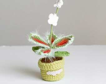 Crochet Plant Pot Set: Handmade Venus Fly Trap, Pitcher, Clover
