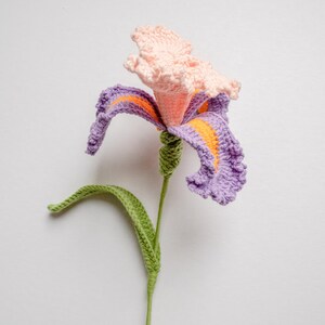 May include: A handmade crochet iris flower with purple petals edged in orange, a light pink center, and a green stem and leaf. The flower is crafted with textured yarn, showcasing a detailed and artistic design. The flower is a decorative item.