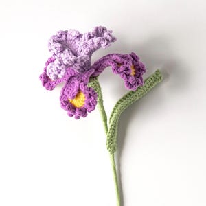 May include: A handcrafted crochet flower with purple petals and a yellow center. The flower has a green stem and leaves. The crochet work is detailed, and the flower is set against a white background.