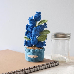Peut inclure: Une plante de myrtilles au crochet faite à la main dans un pot bleu avec un bord décoratif. La plante a des baies bleues et des feuilles vertes. Un bocal en verre transparent avec un couvercle argenté est à côté de la plante.