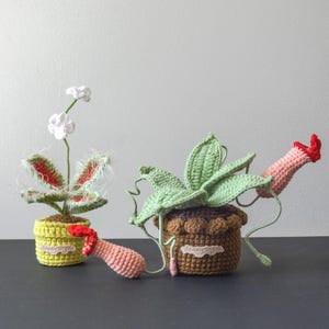 Pots de fleurs effrayants au crochet : Piège à mouches de Vénus fait main