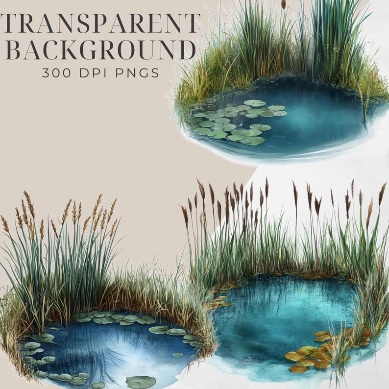 Watercolor Pond Clipart Pack | 300 DPI | Transparent Background | PNG ...