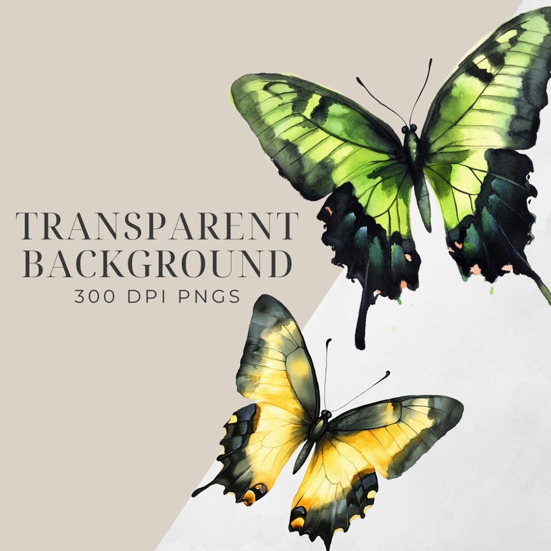 Watercolor Butterfly Clipart Pack 57 Transparent Pngs Commercial Use ...