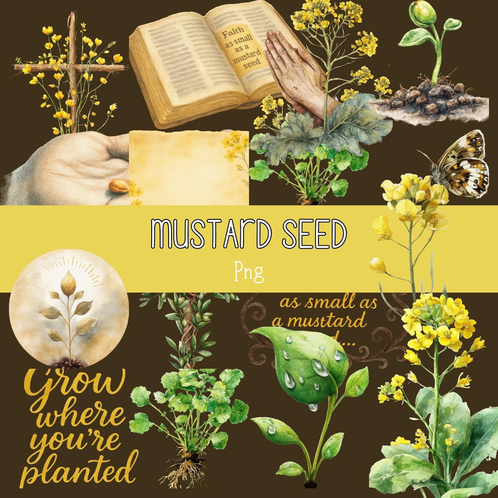 Mustard Seed Faith Clipart, Biblical Illustration Png, Digital Download ...