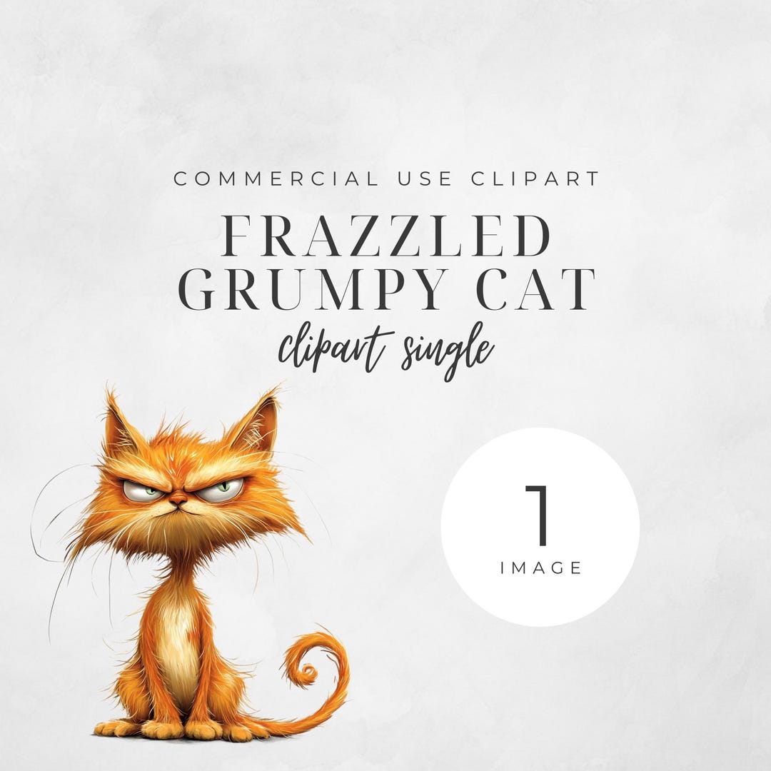 Frazzled Grumpy Cat Clipart Single. 300 DPI, PNG, Transparent ...