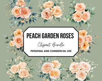 Peach Garden Roses Clipart Bundle PNG | Watercolor Floral Clipart Set | Wedding Peach Roses Bouquets | Transparent Background PNG