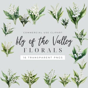 Lily of the Valley Clipart, Watercolor Floral PNG, White Flower Bouquet Clipart, Botanical Wedding Flowers, Transparent Background, 300 DPI
