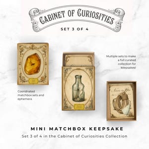 May include: A Cabinet of Curiosities set 3 of 4 featuring three rectangular matchboxes. One box shows an amber insect, another a glass bottle with a ship, and the third a coil of rope. Each box features ornate borders and descriptive text labels.