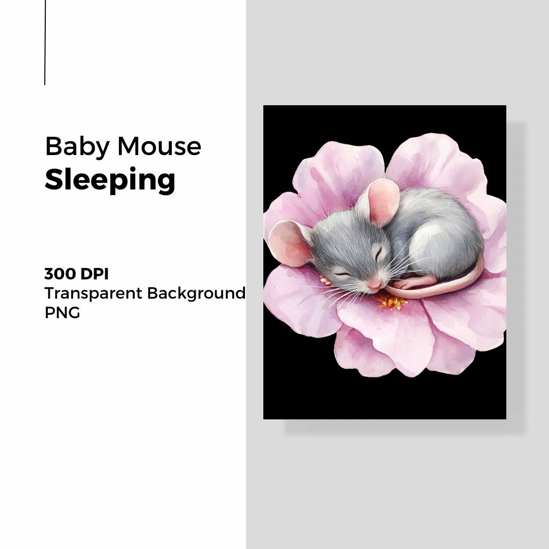 Cute Mouse Sleeping on Pink Flower. 300 DPI, PNG, Transparent ...