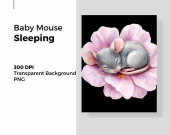 Cute mouse sleeping on pink flower. 300 DPI, PNG, transparent background