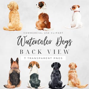 Aquarelle de chiens vue de dos, clipart de race de chien, chiens de dos, chiens assis, amoureux des chiens, lot de cliparts