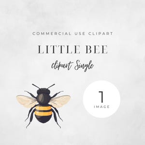 Little Bee clipart single image. 300 DPI, PNG, transparent background