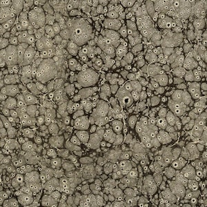 Composition Black - Eclectic Elements LABORATORY - Tim Holtz - 100% Quilters Cotton