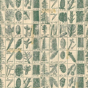 Carte des sapins verte - Les fêtes de fin d'année - Tim Holtz - 100 % coton courtepointe