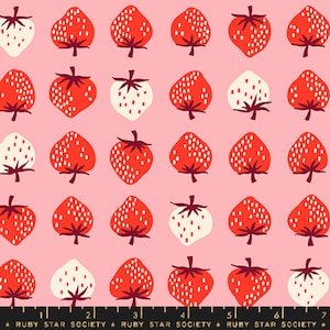 Strawberry Row Balmy - Strawberry - Kimberly Kight - Ruby Star Society Fabric - Moda 100% Quilters Cotton RS3084-13