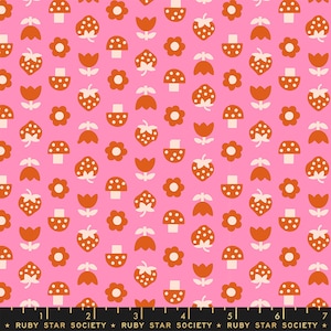 Picture Book Strawbitties in Flamingo Picture Book Strawbitties in Flamingo
