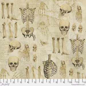 Anatomy Neutral - Eclectic Elements LABORATORY - Tim Holtz - 100% Quilters Cotton