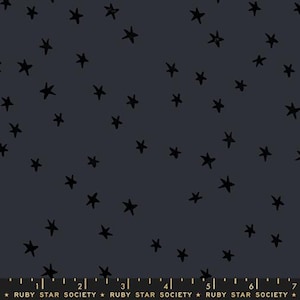 Starry Charcoal - Starry - Alexia Abegg - Ruby Star Society Fabric - Moda 100% Quilters Cotton - RS4109-91