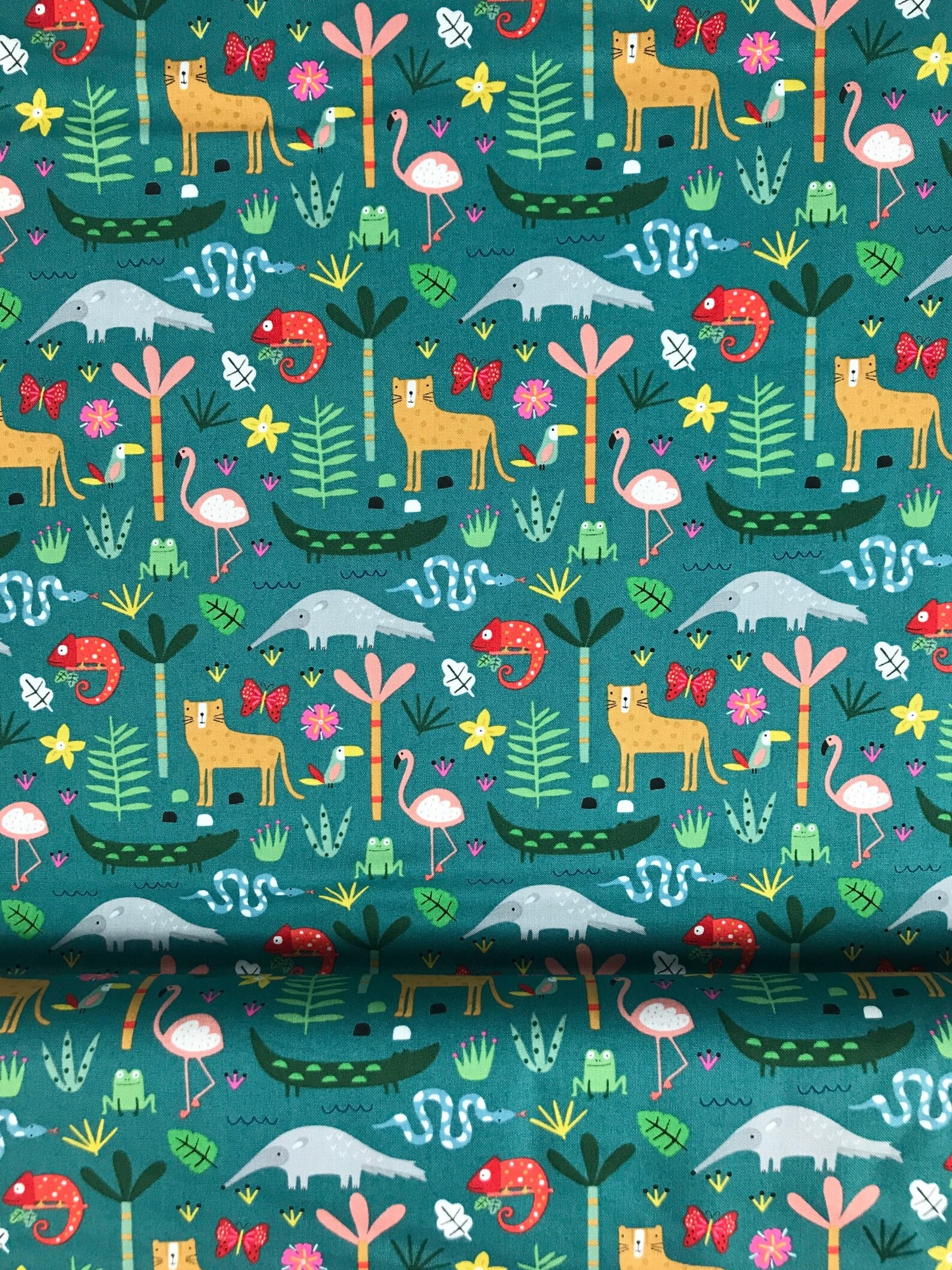 Jungle Animals Habitat Sally Payne Dashwood Studio Etsy UK