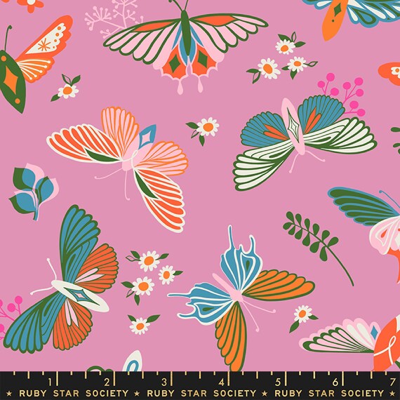 Stay Gold Flutter in Kiss Stay Gold Flutter in Kiss