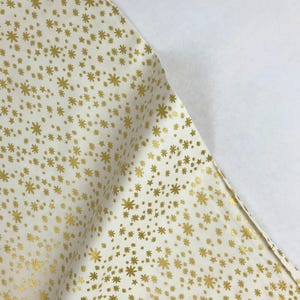 Starry Night Cream METALLIC RP607-CR3M - Holiday Classics - Anna Bond Rifle Paper Co Basics - Baumwolle + Stahl
