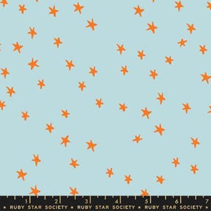 Starry Polar - Starry - Alexia Abegg - Ruby Star Society Fabric - Moda 100% Quilters Cotton - RS4109-83