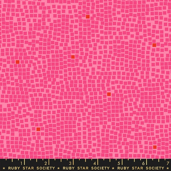 Pixel Playful - Rashida Coleman Hale - Ruby Star Society Fabric - Moda 100% Quilters Cotton