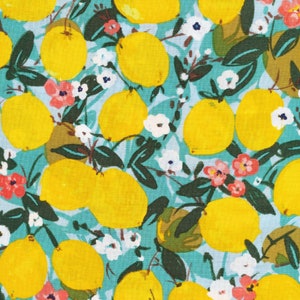 Extra Wide GOT Organic & BPA free LAMINATED fabric - Tart Days - Sweet Beauties - Alison Janssen- Matte finish (cut continuous)