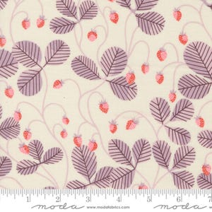 Fresas de Virginia en cáscara de huevo - Carta de amor - Lizzy House - Moda 100% algodón para acolchados 37124-11