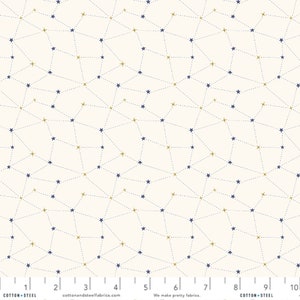 Starry Night Under The Moonlight METALLIC - Carys Mula - Savanna - Cotton + Steel Fabrics - Quilters Cotton
