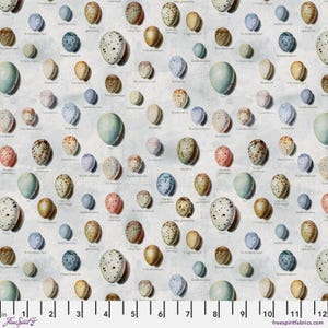 May include: A fabric pattern featuring a collection of various bird eggs in shades of brown, blue, pink, and white, each with unique speckling and patterns. The eggs are arranged on a light gray background with scientific labels.