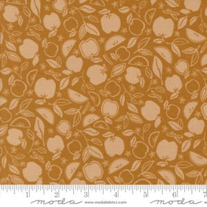 Flower Chain Eggshell - Rainier - Jessica Rose - Moda - 100% Cotton Quilting Fabric Yardage 38143-14