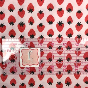 Paintbrush Studios Sold by the Half Yard Oranges on Pink Fruity Maja Faber