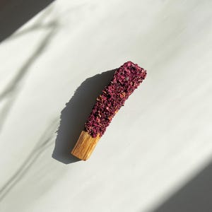 Può includere: Un bastoncino di palo santo marrone con petali di rosa secchi attaccati alla metà superiore del bastoncino.
