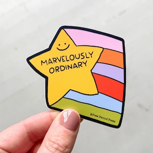 Prachtige gewone ster vinyl sticker sticker | Vinylstickers voor laptops, planners en waterflessen | Schattige gouden ster | Cadeau voor jou