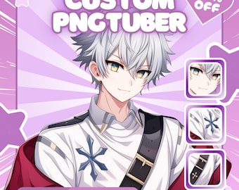 Custom Anime PNGTuber Avatar | VTuber Stream Model