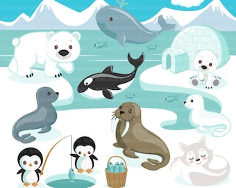 Arctic animals clipart. Cute winter animals, igloo, whale, walrus, penguin, polar bear, seal pup, orca, fox Baby shower, birthday graphics