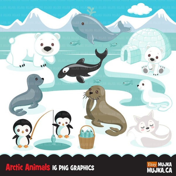 Clipart de animales del Ártico. Lindos animales de invierno, iglú, ballena, morsa, pingüino, oso polar, cría de foca, orca, zorro Baby shower, gráficos de cumpleaños