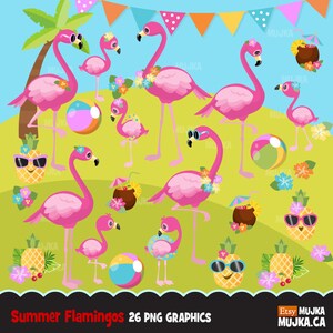 Clipart flamant rose et ananas, jolis graphiques de plage d'arrière-cour d'été, animaux mignons, biscuit, noix de coco, bébé, ballon de plage, fête