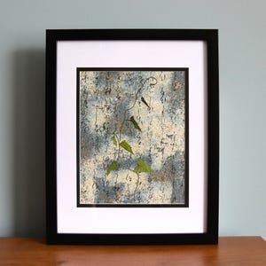 Between Seasons series! Gingko Study. Morning Glory Vine Study. Pressed flower herbarium